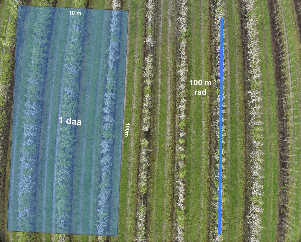 Flyfoto av eplehage. Et rektangel på 10 × 100 meter er markert som 1 dekar, og en blå linje langs én enkelt trerad er markert som 100 meter rad.