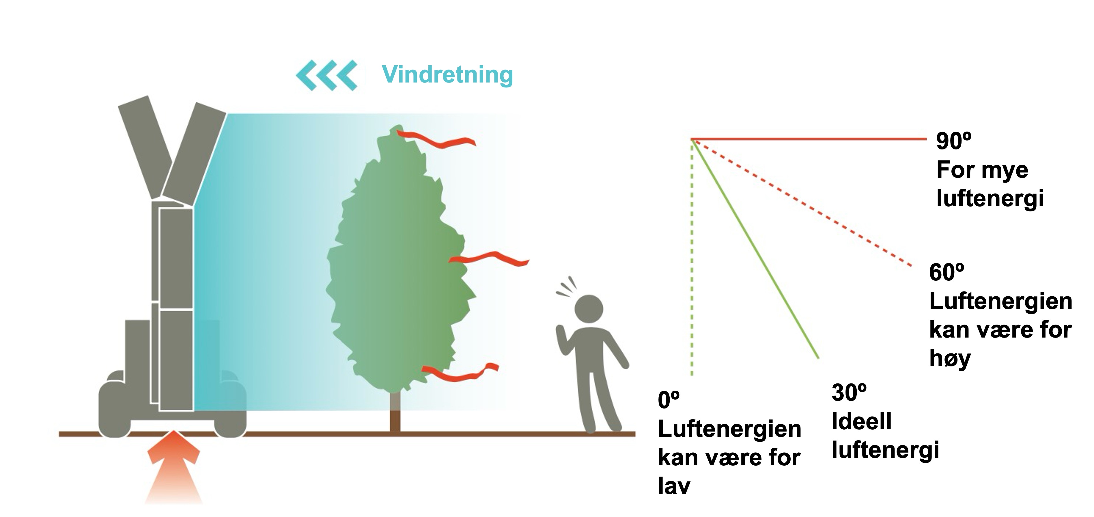 Tolkning av båndvinkler på baksiden av treet