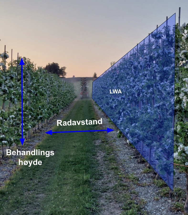 Illustrasjon av bladveggflate som en tenkt vegg av blader langs raden